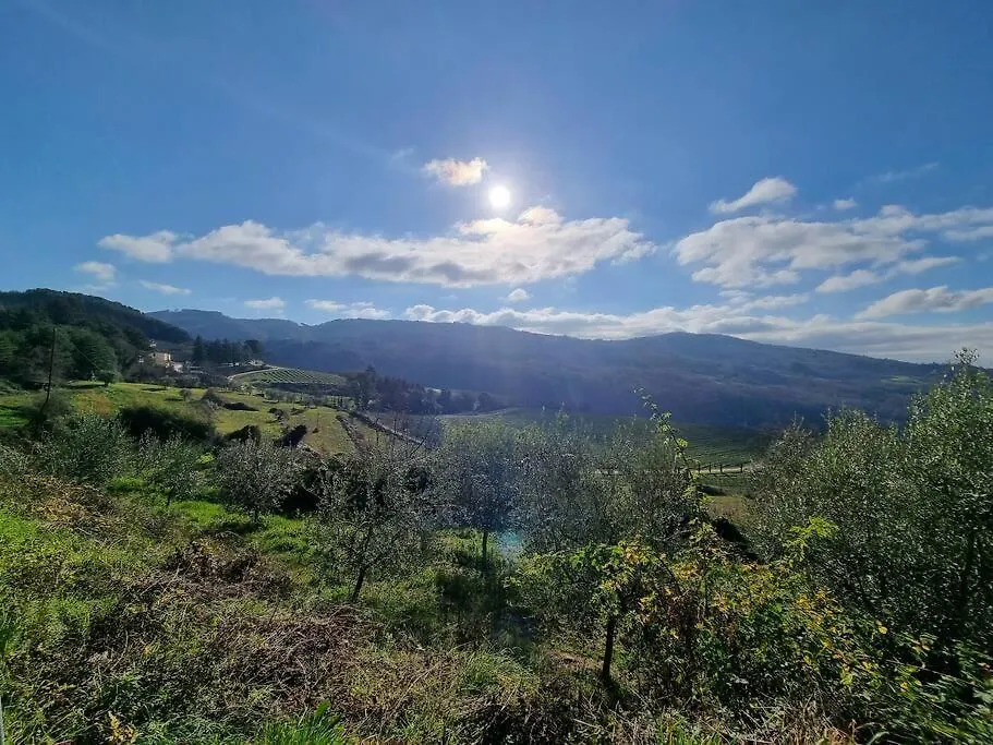 別荘 Casa Relax In Campagna - Pominoヴィラ